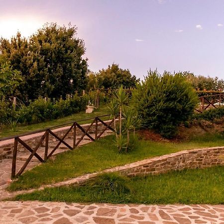Il Mandorlo Fiorito Bed And Breakfast Ogliastro Cilento Eksteriør billede